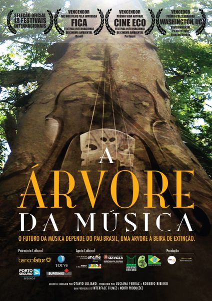 DVD A Árvore da Música