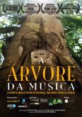 DVD A Árvore da Música
